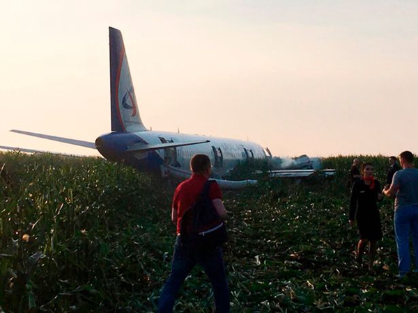 俄一客机遭鸟群袭击双发动机失效 成功迫降玉米地