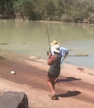 澳大利亚一钓鱼者钓上鱼后被鳄鱼冲出来抢走