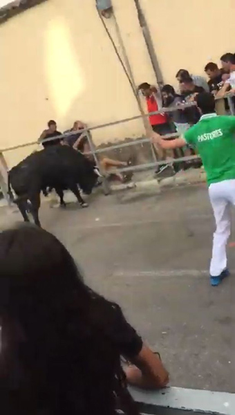 西班牙奔牛活动中男子被困栏杆上 遭公牛反复攻击