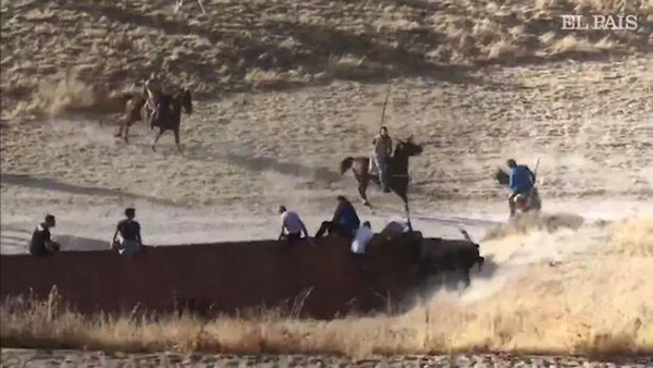 痛心！西班牙男子奔牛节上被公牛刺伤后死亡