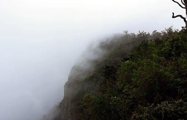 斯里兰卡悬崖高达千米 烟雾弥漫似“世界尽头”